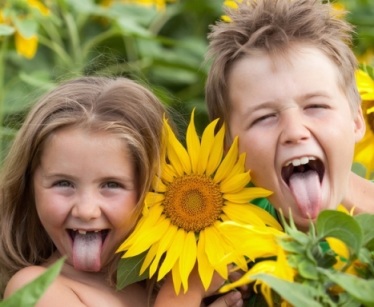 Вы сейчас просматриваете 19 октября Телемост — Вебинар:  «Как сделать наших детей счастливыми?»